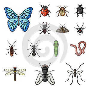 Different kinds of insects cartoon icons in set collection for design. Insect arthropod vector symbol stock web