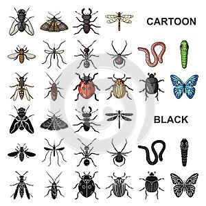 Different kinds of insects cartoon icons in set collection for design. Insect arthropod vector symbol stock web