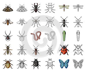Different kinds of insects cartoon,outline icons in set collection for design. Insect arthropod vector symbol stock web