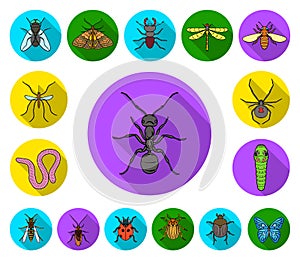 Different kinds of insects flat icons in set collection for design. Insect arthropod vector symbol stock web