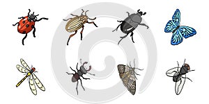 Different kinds of insects icons in set collection for design. Insect arthropod isometric vector symbol stock web photo