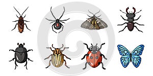 Different kinds of insects icons in set collection for design. Insect arthropod vector symbol stock web illustration.