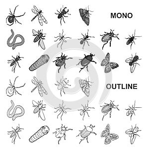 Different kinds of insects monochrom icons in set collection for design. Insect arthropod vector isometric symbol stock