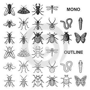 Different kinds of insects monochrom icons in set collection for design. Insect arthropod vector symbol stock web