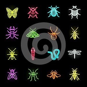 Different kinds of insects neon icons in set collection for design. Insect arthropod vector symbol stock web
