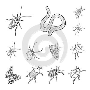 Different kinds of insects outline icons in set collection for design. Insect arthropod vector isometric symbol stock