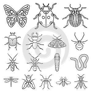 Different kinds of insects outline icons in set collection for design. Insect arthropod vector symbol stock web
