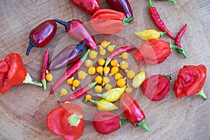 Different kinds of red and yellow hot chilly peppers on wooden plate
