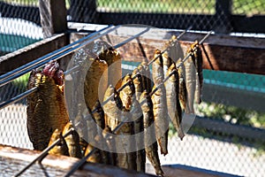 Different kinds of sea fish hang in the smokehouse.