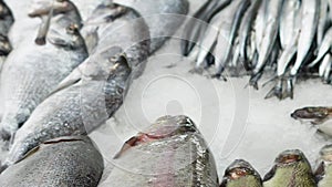 Different kinds of the sea fish are selling on the market.