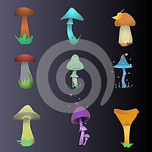 Different kinds of shrooms vector illustration