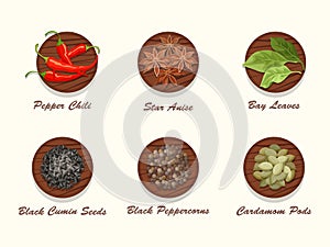 Different kinds of spices on wooden board.