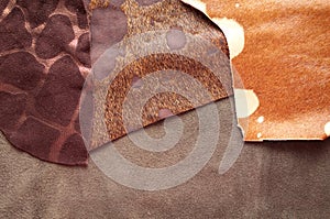 Different leather samples