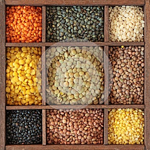 Different lentils