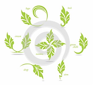 Different logo designs on leaf. Green leaf logo design vector.