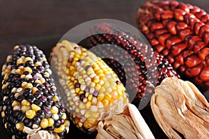 Different maize-cobs