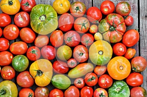 Different maturity degree fresh farm tomatoes