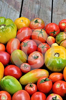 Different maturity degree fresh farm tomatoes photo