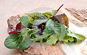 Different mix of fresh spinach leaves, feldsalat, chard, arugula and lettuce on wooden tray.