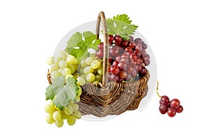 Different mixed red and green grape bunches with leaves in wicker basket isolated on white background