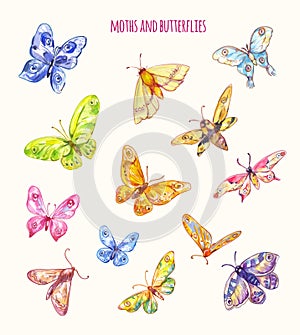 Different moths and butterflies in watercolor style. Vector flying wings