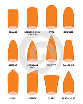 Different nail shapes