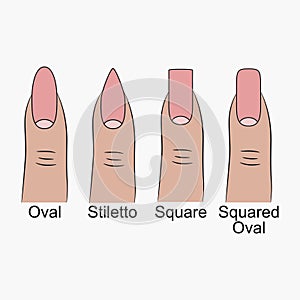Different nail shapes. Fingernails forms for manicure. Vector.