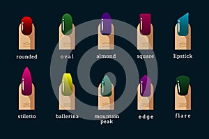 Different nail shapes and polish colors vector icons