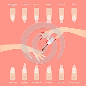 Different nail shapes. Woman fingers.