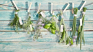 Different named fresh herbs hanging on a line