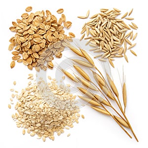 Different oats isolated on white photo