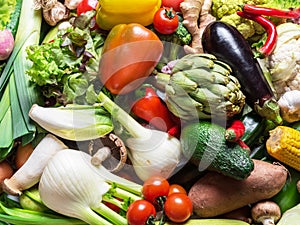 Different organic vegetables. Multicolored food background.