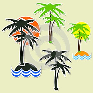 Different palm