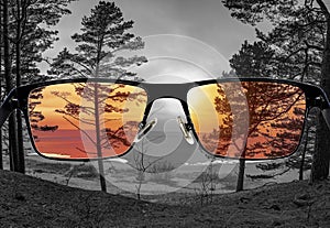 Different perception of world. Colorful view of sunset over sea and coniferous forest in  the glasses. Looking through glasses