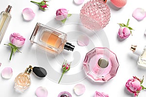 Different perfume bottles and flowers on white background, top