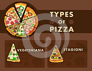 Different Pizza Types Poster Cartoon Template photo