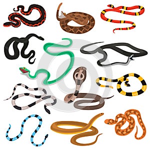 Different poison snakes color flat icons set