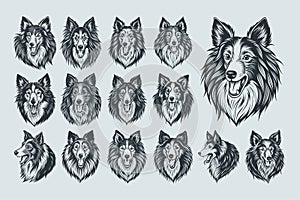 Different pose of Sheltie dog head illustration design set