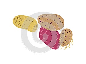 Different Potato Varieties Fresh Vegetable, Nutritious Vegetarian Food Vector Illustration