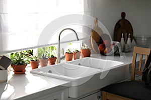 Different potted plants on window sill in kitchen