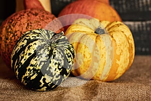 Different pumpkins.