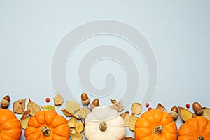 Different pumpkins, autumn leaves, berries and acorns on light blue background, flat lay. Space for text
