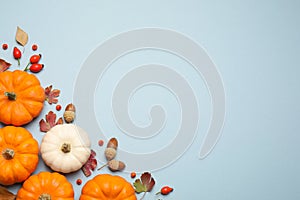 Different pumpkins, autumn leaves, berries and acorns on light blue background, flat lay. Space for text