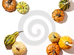 Different pumpkins over white