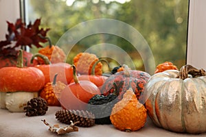 Different pumpkins and pine cones on window sill indoors
