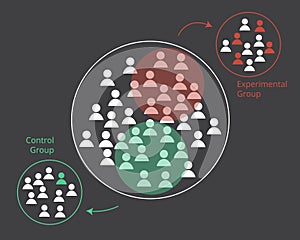 Different between randomized control group and experimental group in experimentation vector