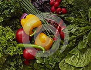 Different raw vegetables background. Healthy nutrition. Yellow peppers, red tomatoes, radish, green salad.