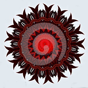 Different red iridescent feathered fantasy flower