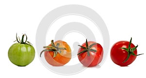 Different ripeness of tomatoes. Collage, set. Isolated on white background. Panorama format