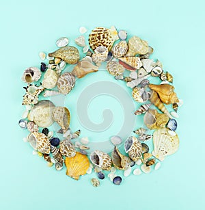 Different sea shells on a blue background